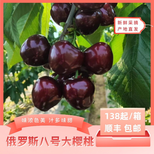味浓色美汁多味甜新鲜采摘包邮
