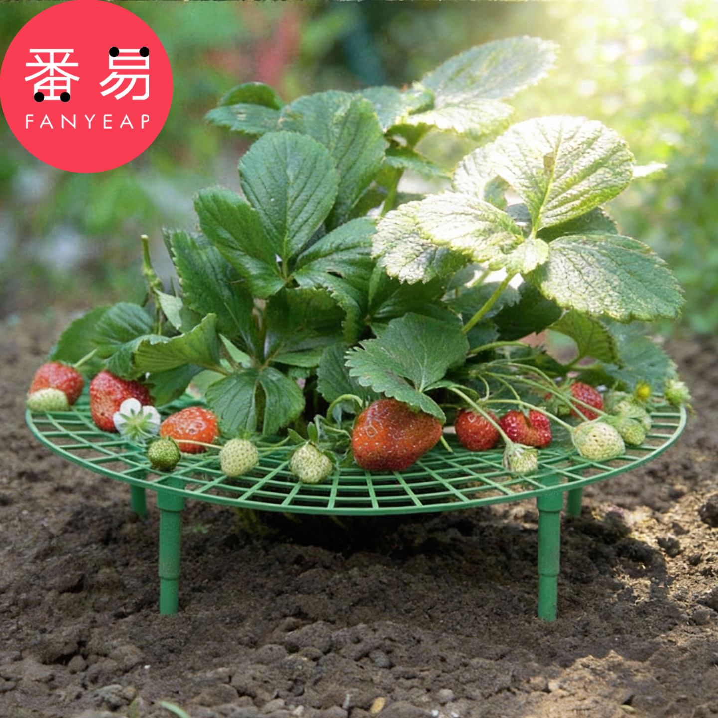草莓架A1pn008-园艺盆栽水果家庭绿植支架拼接草莓种植架支撑架