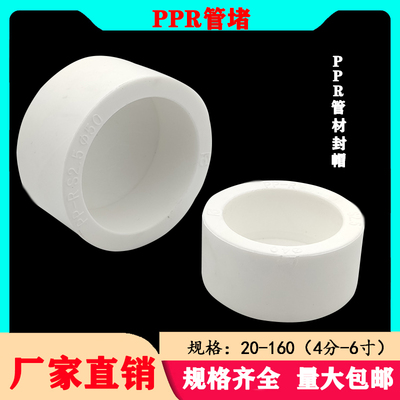 PPR加厚20-160热熔管堵接头配件