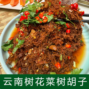 云南树花菜树胡子树毛衣凉拌下饭菜干菜红树花树皮菜山珍干货批发