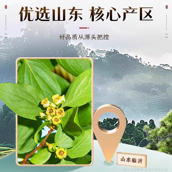 南京同仁堂柿子叶霜后鲜摘柿子叶干茶包血压正品官方旗舰店1cg