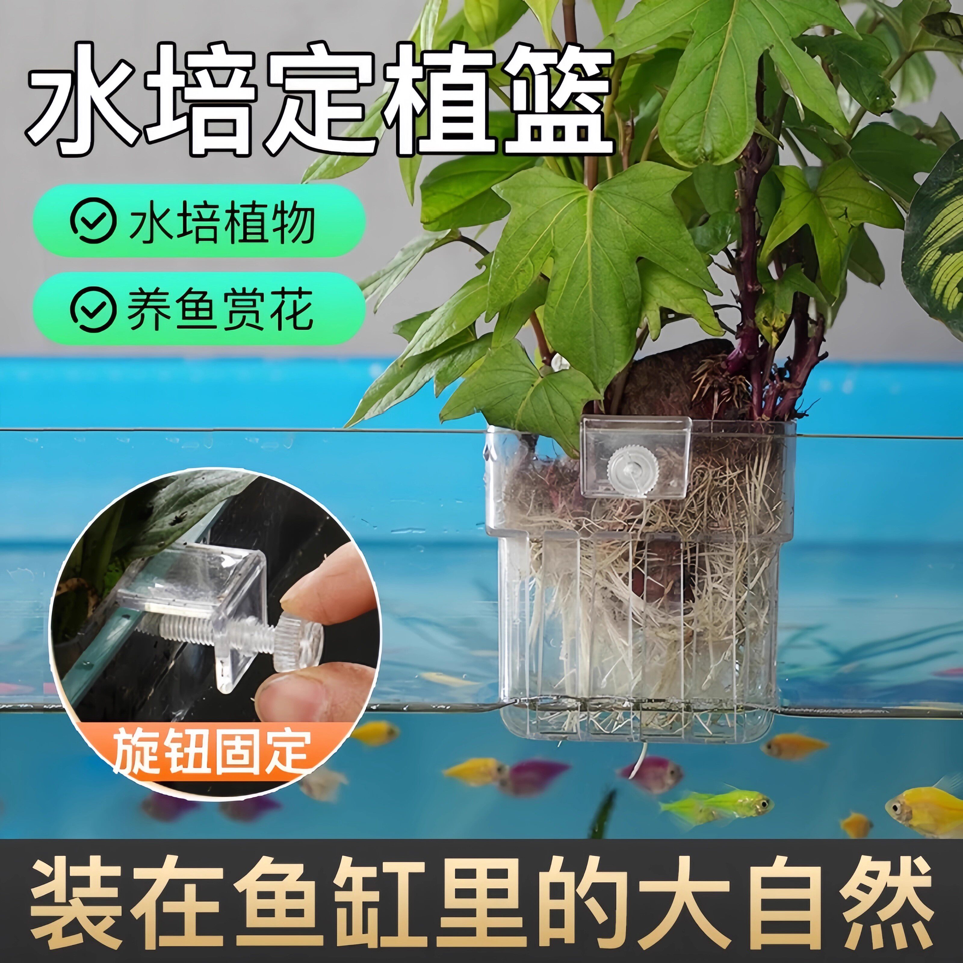 水培定植篮鱼缸水草杯挂壁式种植杯新品透明水培器皿鱼缸植物造景