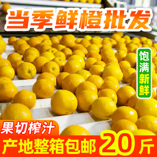 秭归脐橙榨汁果新鲜20斤水果当季批发纽荷尔整箱酸甜橙子包邮