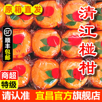 新鲜清江椪柑新鲜当季