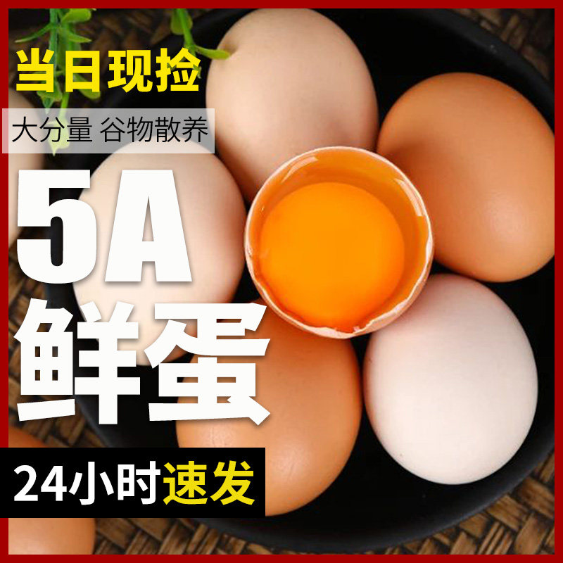 新鲜谷饲土鸡蛋12枚农家笨鸡蛋孕妇农村草鸡蛋月子蛋包邮鸡蛋新鲜,水产肉类/新鲜蔬果/熟食,鸡蛋,淘宝优惠券,粉丝福利购,淘宝优惠卷
