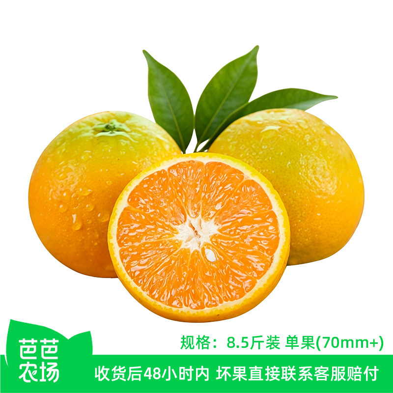【芭芭农场】夏橙8.5斤 单果70mm+ 包邮发货 - 实物图