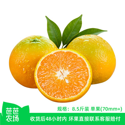 【芭芭农场】夏橙8.5斤 单果70mm+ 包邮发货