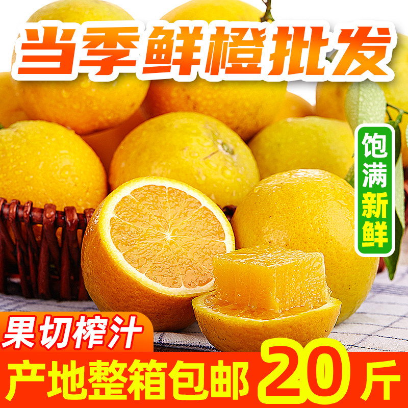 新鲜原产地直供批发秭归夏橙图片