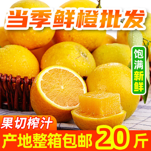 新鲜原产地直供批发秭归夏橙