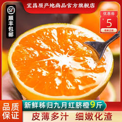 湖北九月红橙9斤新鲜大果当季水果整箱甜橙红橙子果冻橙秭归脐橙