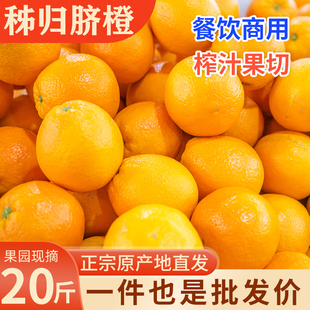 新鲜秭归脐橙产地批发20斤橙子果当季整箱鲜橙榨汁果酸甜包邮10