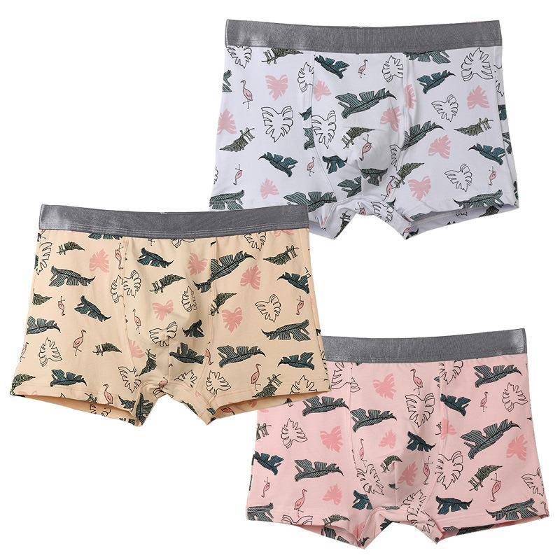 Briefs Boxer Size Large Convex Briefs Boxer Crotch Ion