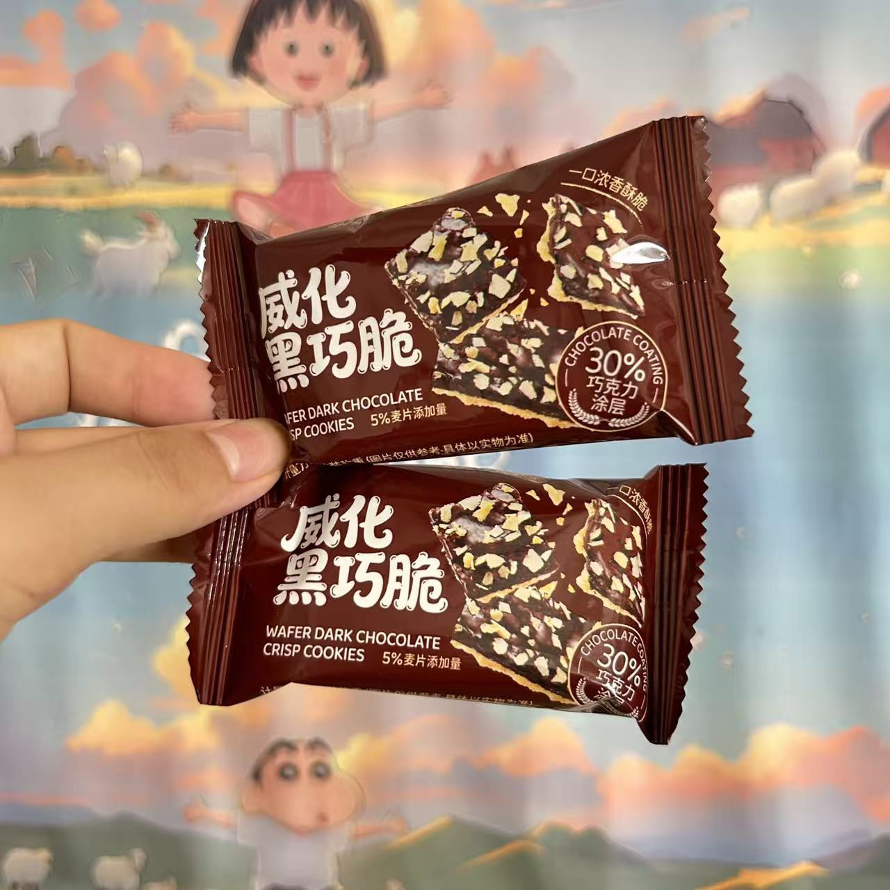醇香黑巧燕麦威化薄脆饼干独立装
