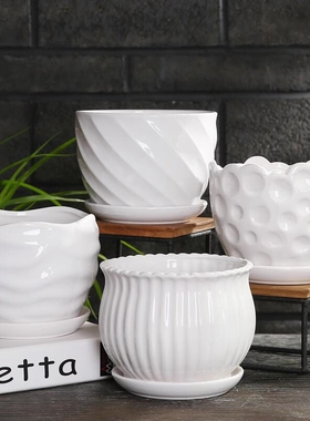 网红白色花盆陶瓷大号中号家用绿萝吊兰多肉绿植白色蝴蝶兰花盆