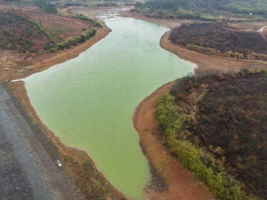 3月31日九江市旅游公司绿化苗木、机器设备、电子办公设备、房屋建筑物、构筑物网络拍卖公告