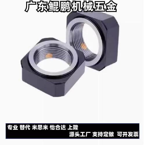 LEB81-M20/M6/M8/M10/M12/M16/M17/M25/M30LEB82FBNR精密BNTA螺母