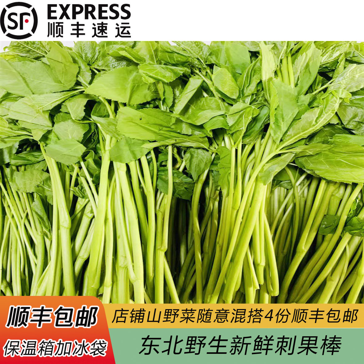 东北特产刺五加野菜新鲜刺果棒刺拐棒蘸酱菜凉拌菜春季野生四份邮