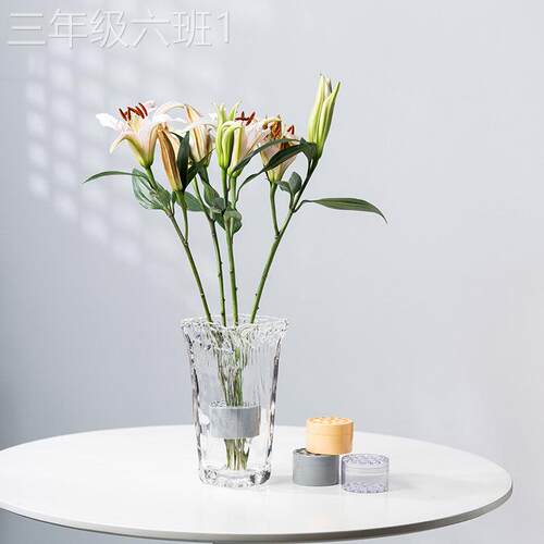 通用型家用花瓶插盆固定神造型旋筒玫瑰鲜花花花打螺束旋工具花花