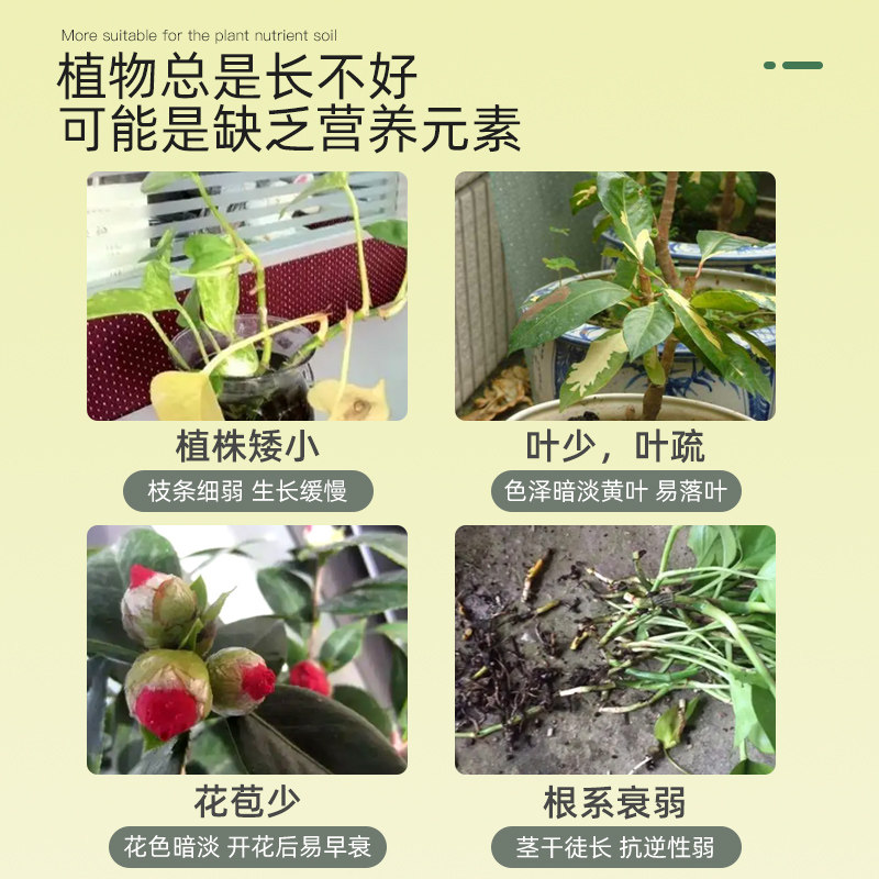 缓释肥颗释养花肥家n用盆栽通用型复合肥花卉绿植通用控粒肥料植
