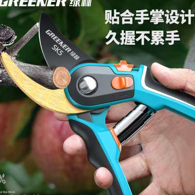 绿林剪树枝专用剪刀园艺果树修枝剪刀花剪修剪树枝剪花专用省力剪