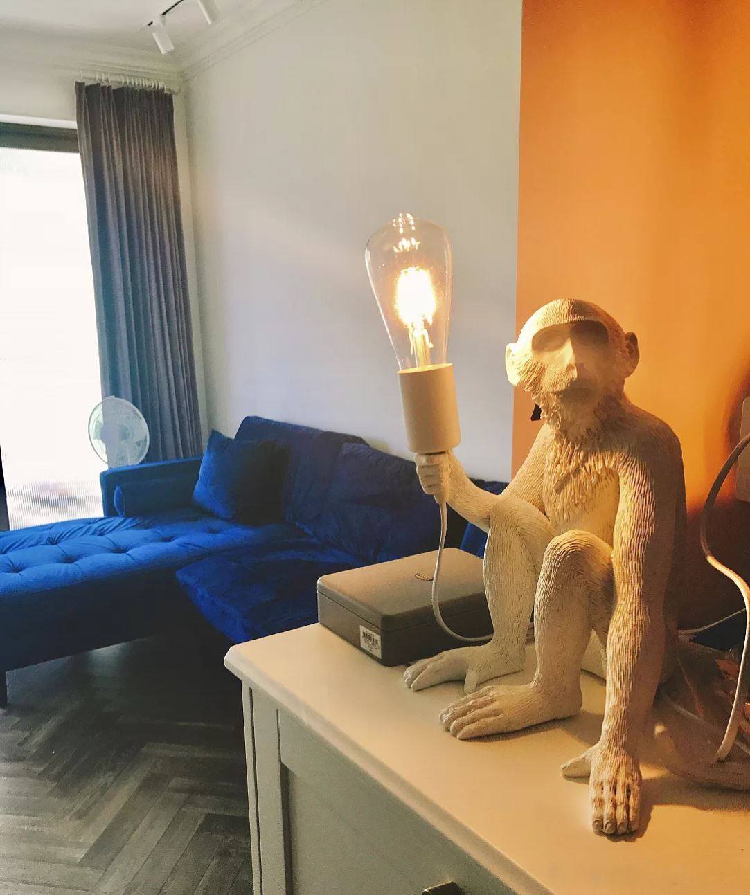 猩猩点灯闺蜜猴子壁灯房酒吧餐厅走廊店面装饰灯动物麻绳猴子灯rt