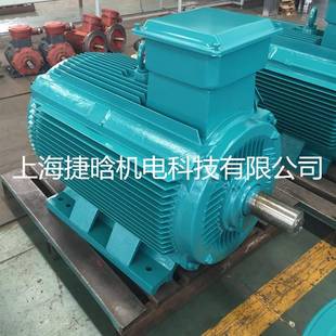 YE4 45W新二级能效 三相感应异步电动机 225M