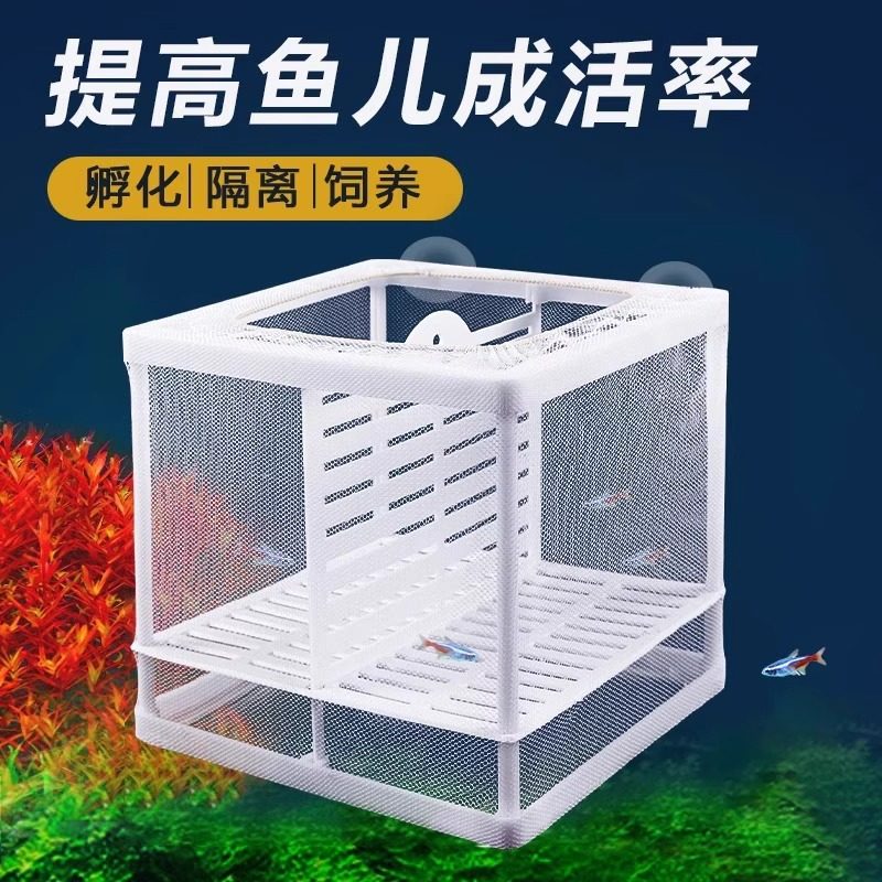 鱼缸繁殖隔离盒隔离网孔雀鱼大号孵化器热带鱼小鱼苗繁殖箱分离网图片