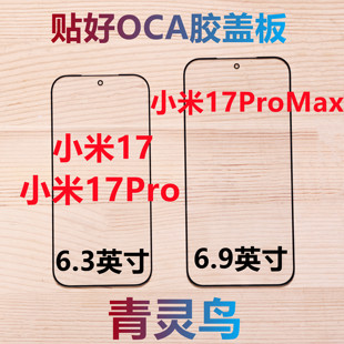 青灵鸟适用小米17 小米17Pro 小米17ProMax 带OCA胶盖板外屏玻璃