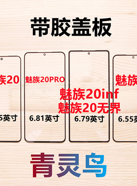 适用魅族20/20pro/21/22/20无界版/21PRO/21Note 带OCA胶盖板外屏