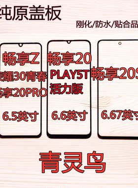 适用荣耀30青春 优畅享Z/20/20PRO/20SE PLAY5T活力 X10青春 盖板
