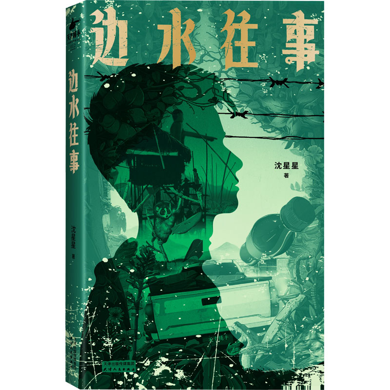边水往事 沈星星 天津人民出版社 作者亲身经历 电视剧原著小说 天津人民出版社 纪实文学 正版书籍