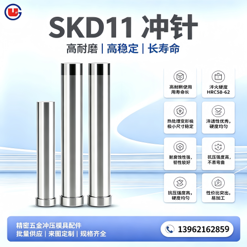 SKD11冲针顶针T型冲子料圆棒DC53模具钢8566冲头SKH-9冲孔可定制