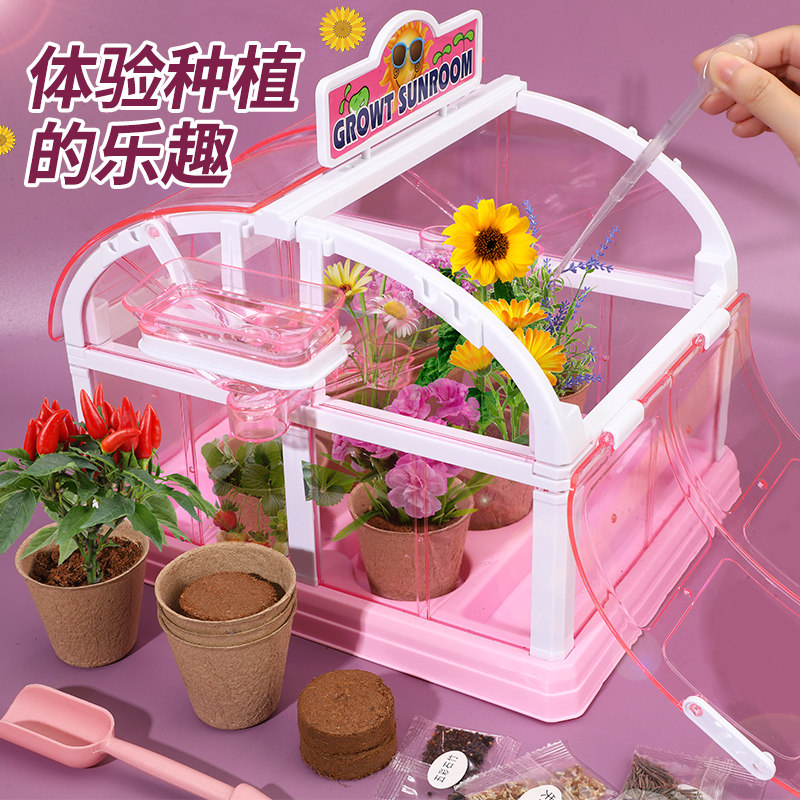儿童种植盆栽幼儿园花农diy发芽迷你小学生观察植物生长自种创意