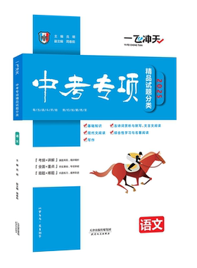 中考专项精品试题分类语文