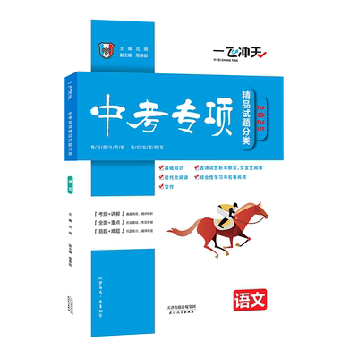 中考专项精品试题分类语文