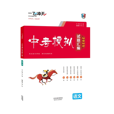 一飞冲天中考模拟试题汇编