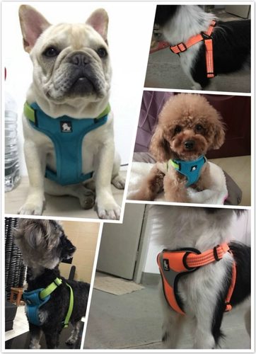 Truelove Pet Dog Vest -Стиль ДОГОВОЙ ДОБАВИТЬ