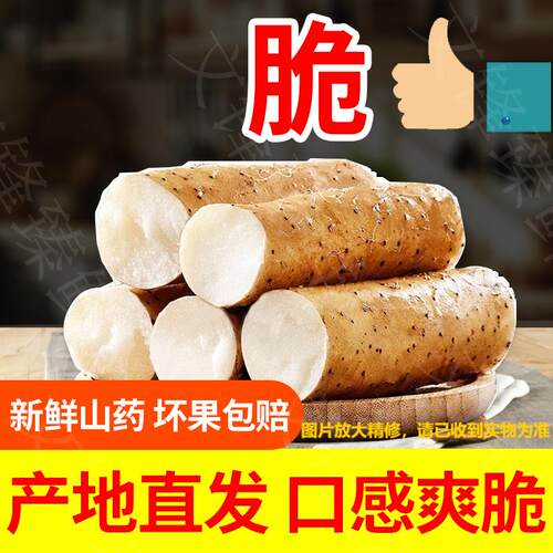 脆山药新鲜可生吃水果白玉山药新鲜产地直发炒菜涮火锅用大名特产
