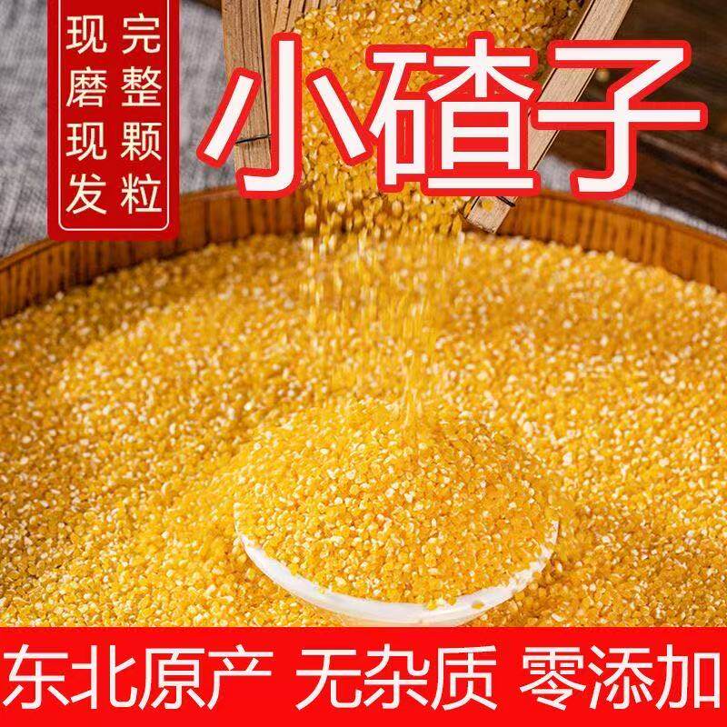 玉米碴小碴子玉米渣苞米糁农家棒碴子粥棒子糁玉米糁粗粮五谷杂粮
