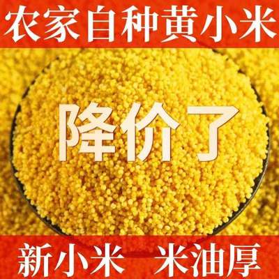 山西黄小米新米东北农家小米五谷杂粮宝宝米月子米熬粥100克-5斤