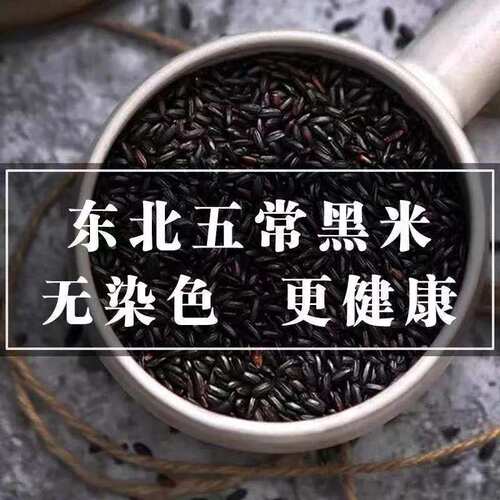 东北黑米新米五常紫米大米批发