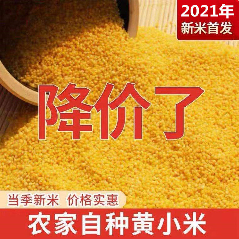 山西黄小米1斤农家养胃月子米宝宝米小黄米小米粥新米五谷杂粮,粮油调味/速食/干货/烘焙,小米,淘宝优惠券,粉丝福利购,淘宝优惠卷