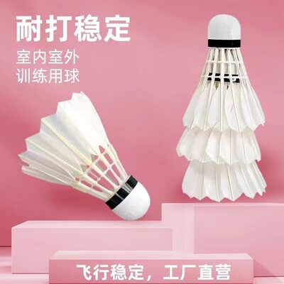 鹅毛羽毛球12支装耐打抗风训练