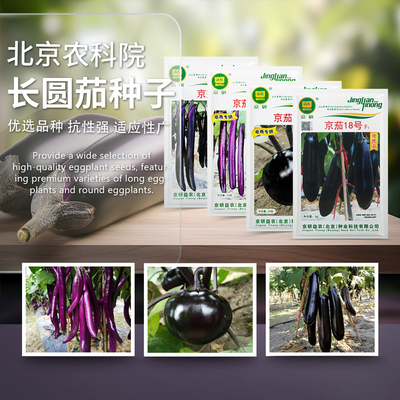 茄子种子紫黑长圆茄线茄鸡蛋白绿罐烧烤茄耐寒耐热农科院蔬菜籽孑