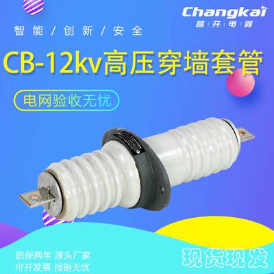 CB.CWB-10KV/2000A CB.kCWB-10KV/200A高压扁铜排穿墙套管