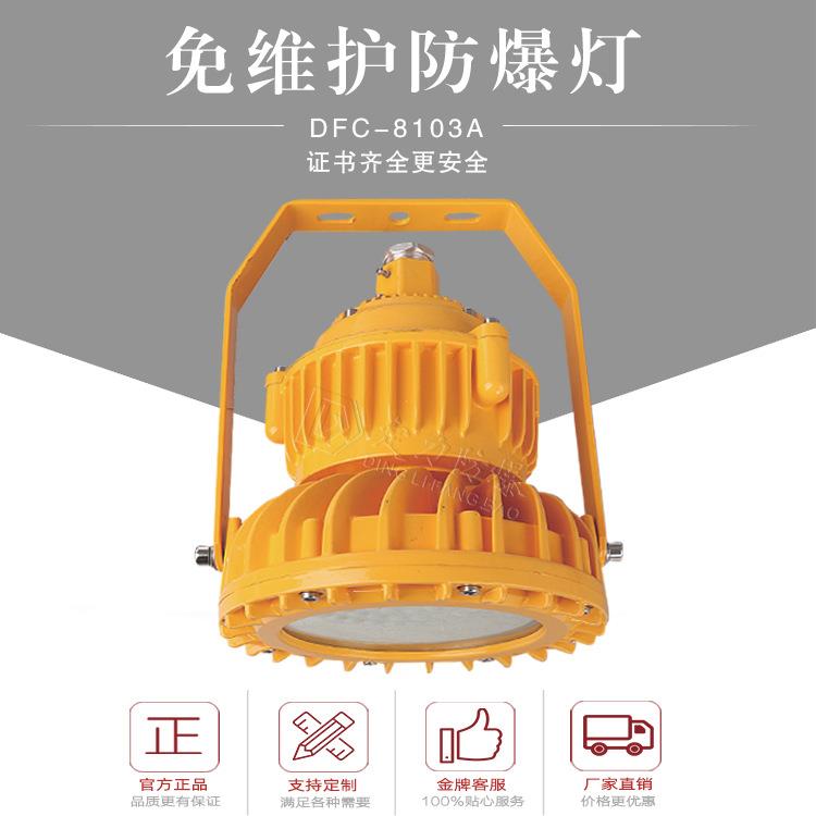 led隔爆型防腐30W40W50W60W防爆led平台灯护栏法兰弯杆灯三防灯