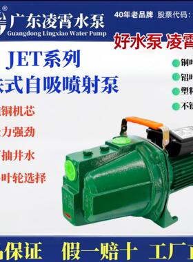 广东铸铁泵JET型井水泵楼层增压泵管道加压泵清水泵抽水泵