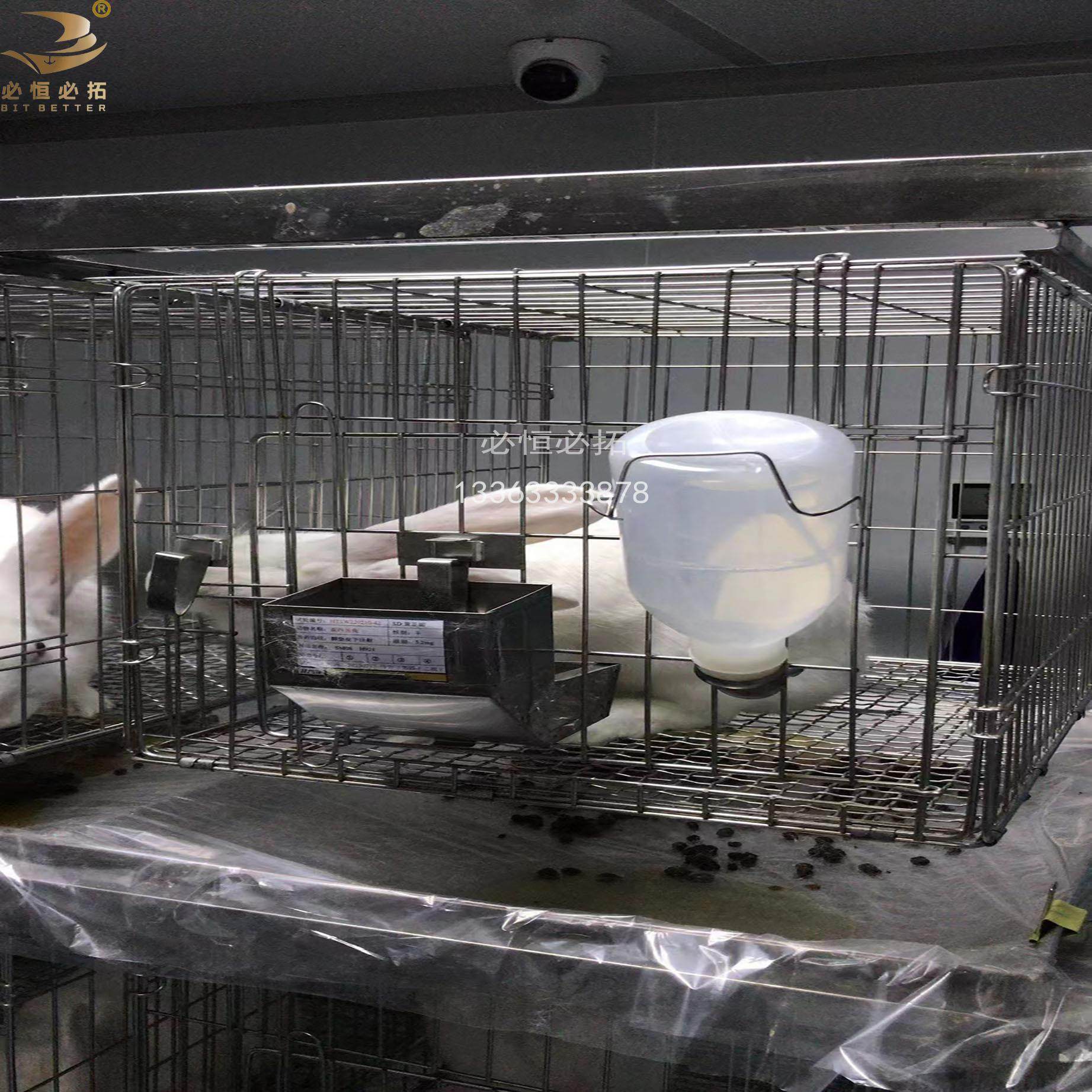 实验室笼具养殖用鸡鸽兔笼豚鼠笼豚鼠架实验用铁折叠,畜牧/养殖物资,畜牧/养殖器械,淘宝优惠券,粉丝福利购,淘宝优惠卷