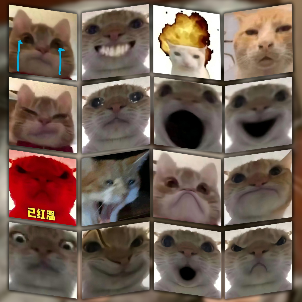 发疯猫猫头表情包贴纸搞笑沙雕