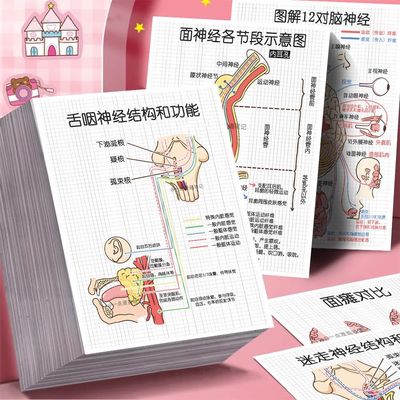 神经系统医学生知识贴纸